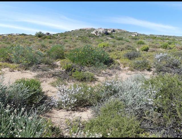 LAND FOR SALE IN ST HELENA VIEWS
